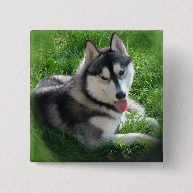 Siberian Husky Dog Square Pin (Front)