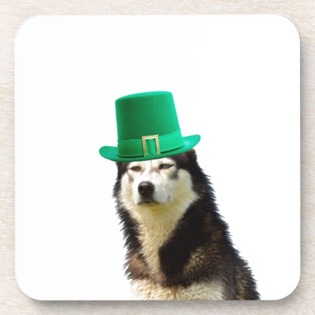 Siberian Husky Dog St. Patrick's day Coaster (Front)