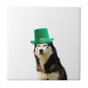 Siberian Husky Dog St. Patrick's day Tile