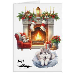Siberian Husky Dog Waiting for Christmas