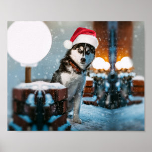 Siberian Husky dog wearing santa hat Poster