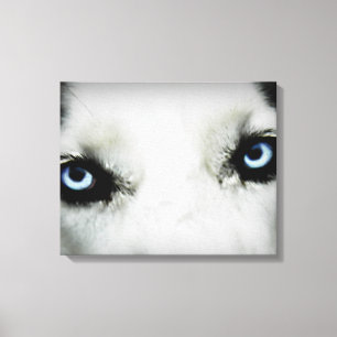 Siberian Husky Eyes Canvas Print