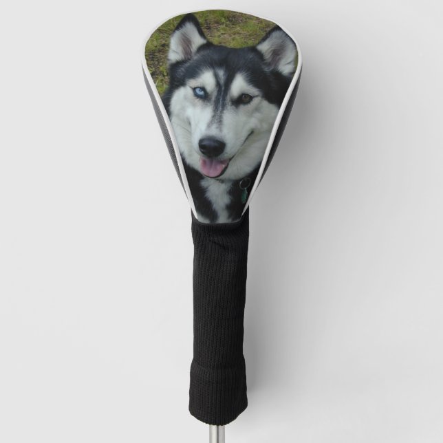 Siberian Husky Golf Club Cover (Front)