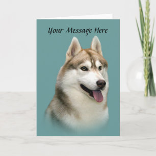 Siberian Husky Gorgeous Greeting Card