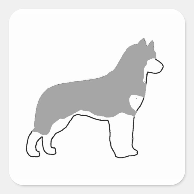 siberian husky grey and white silo square sticker (Front)