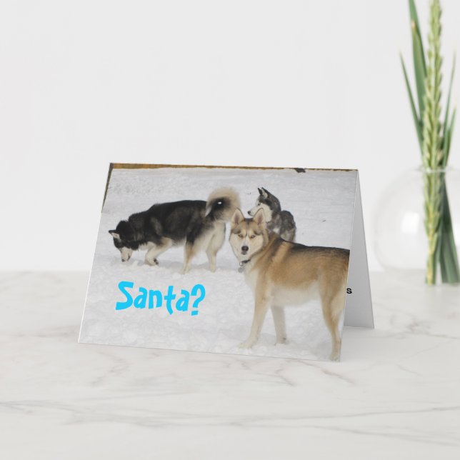 Siberian Husky Holiday Christmas Card (Front)