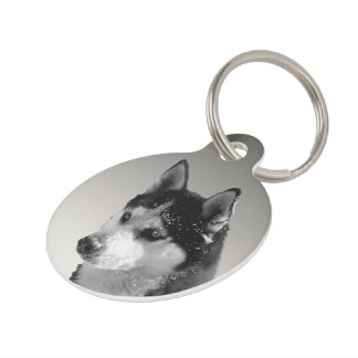 Siberian Husky Huskybild Pet Tag