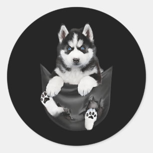 Siberian Husky In Pocket Puppy Classic Round Sticker