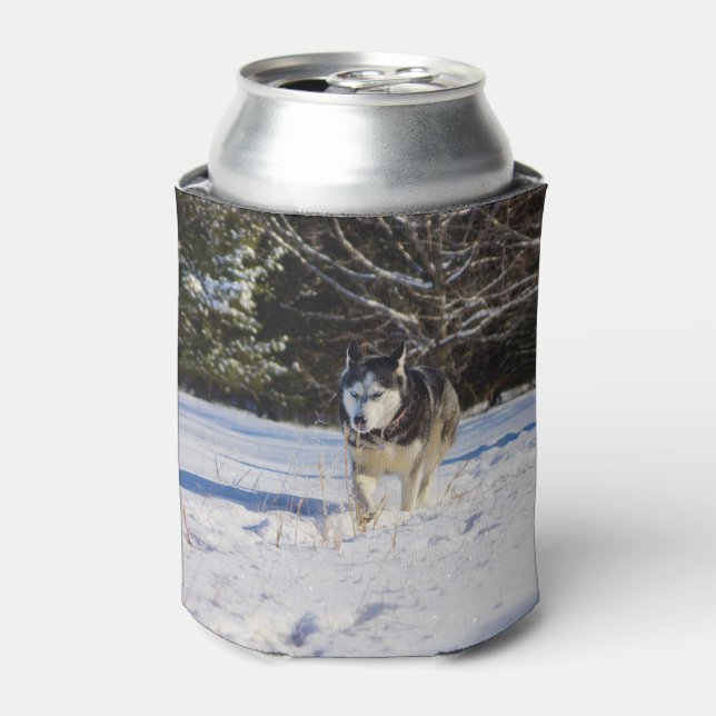 Siberian Husky In The Snow Can Cooler (Can Front)