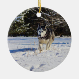 Siberian Husky In The Snow Ceramic Tree Decoration
