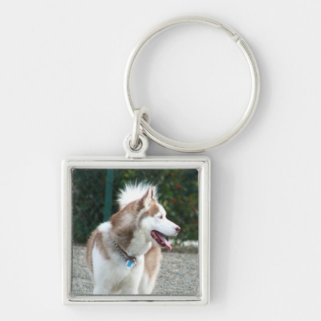 Siberian Husky keychain (Front)