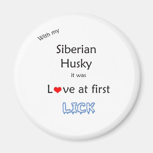 Siberian Husky Love at First Lick - Magnet