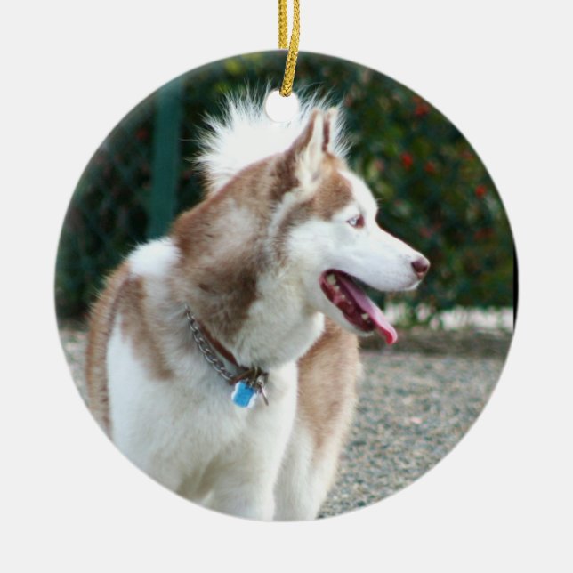 Siberian Husky Ornament (Front)