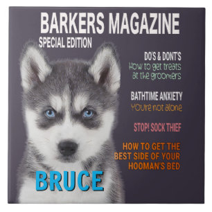 Siberian Husky Parody Magazine Cover Photo Print Tile