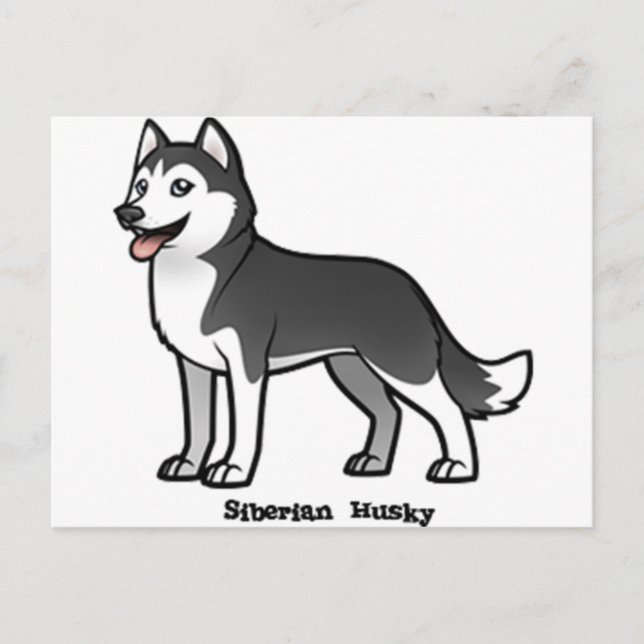 Siberian Husky Postcard (Front)