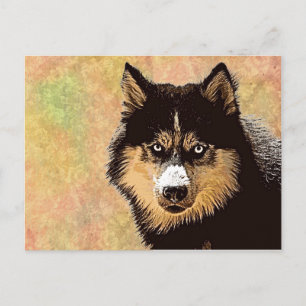 Siberian Husky Postcard