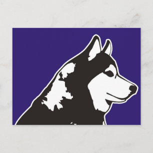 Siberian Husky Postcard