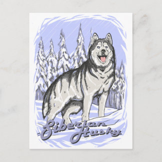 Siberian Husky Postcard