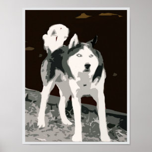 Siberian husky poster