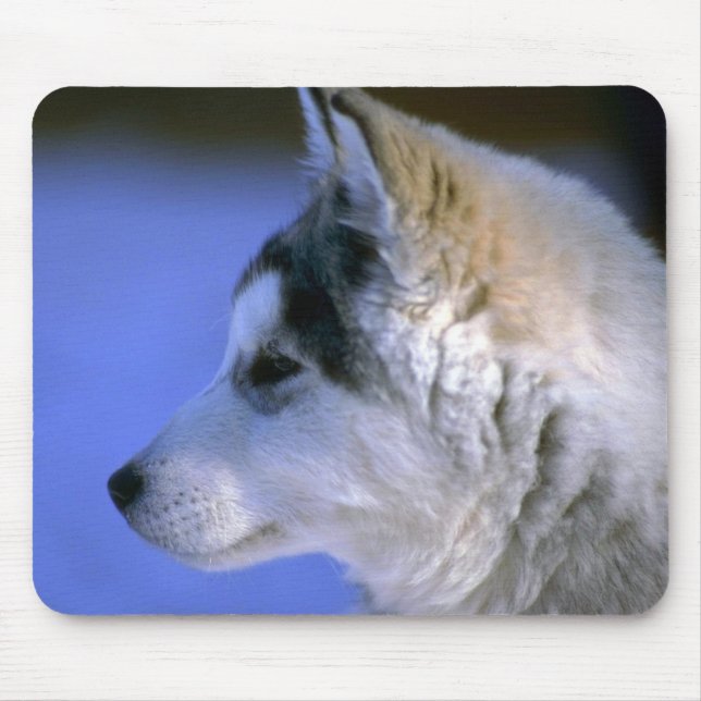 Siberian Husky pup Mouse Pad (Front)