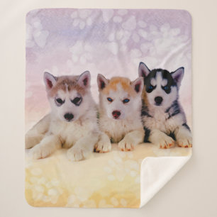 Siberian Husky Puppies Sherpa Blanket