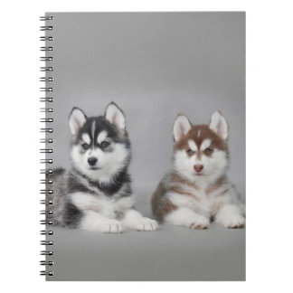 Siberian husky puppies spiral notebook