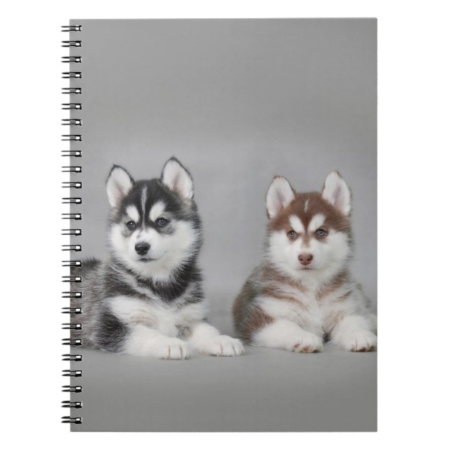 Siberian husky puppies spiral notebook (Front)