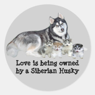 Siberian Husky & Puppies Sticker