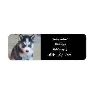 Siberian Husky Puppy Address labels