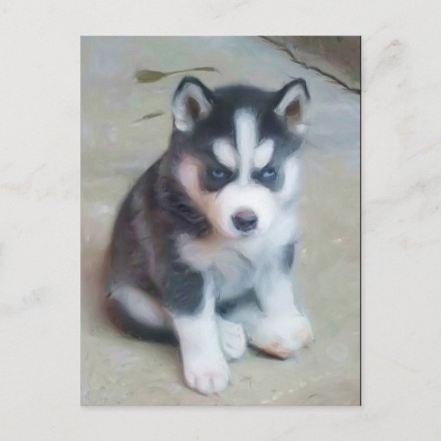 Siberian Husky puppy art postcard (Front)
