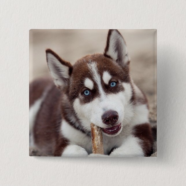 Siberian Husky Puppy at the Beach 15 Cm Square Badge (Front)