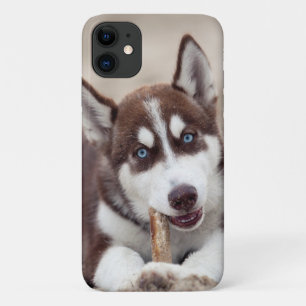 Siberian Husky Puppy at the Beach Case-Mate iPhone Case