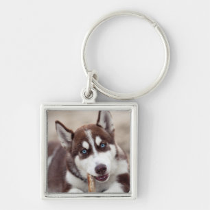 Siberian Husky Puppy at the Beach Key Ring