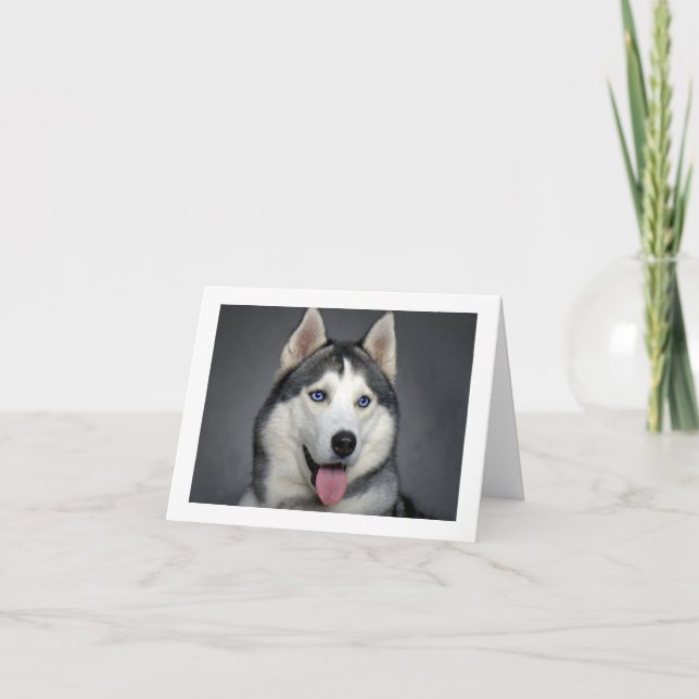 Siberian Husky Puppy Dog Blank Note Card (Front)
