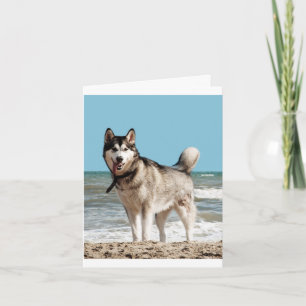 Siberian Husky Puppy Dog Blank Note Card