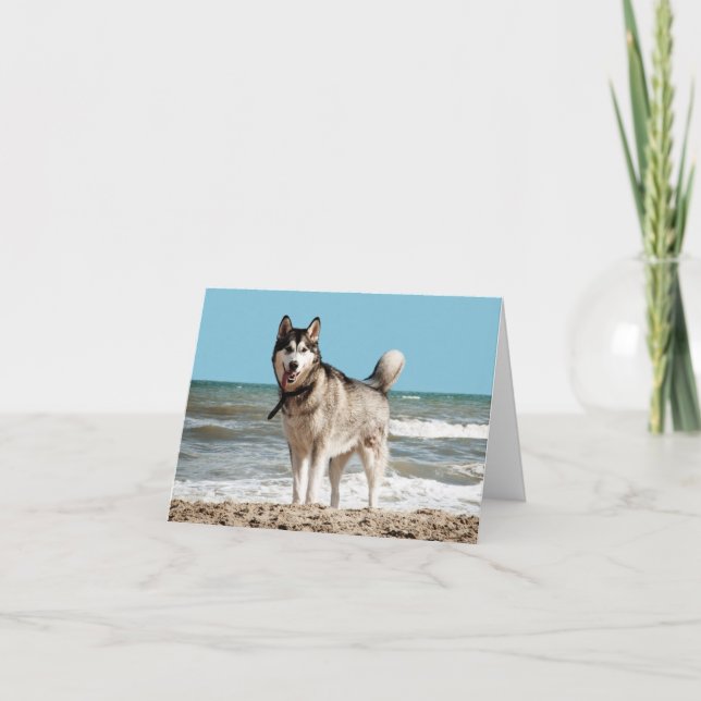 Siberian Husky Puppy Dog Blank Note Card (Front)