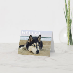 Siberian Husky Puppy Dog Hello, Thinking of You Card