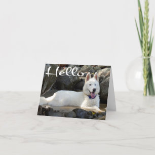 Siberian Husky Puppy Dog Hello, Thinking of You Card