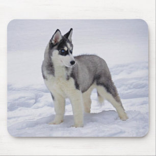 Siberian Husky Puppy Dog in Snow Mouse Pad