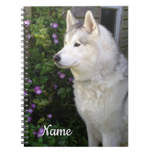 Siberian Husky Puppy Dog Notebook
