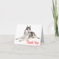 Siberian Husky Puppy Dog Red Thank You - Blank
