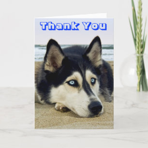 Siberian Husky Puppy Dog Thank You Greeting Card