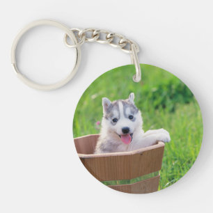 Siberian Husky Puppy in a Pot Key Ring