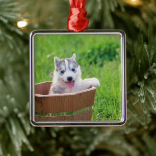 Siberian Husky Puppy in a Pot Metal Tree Decoration