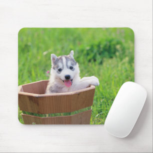 Siberian Husky Puppy in a Pot Mouse Pad