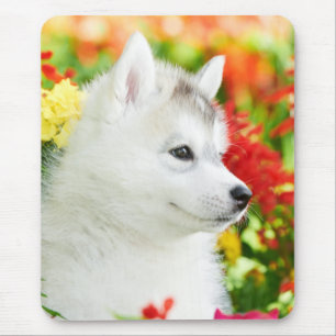 Siberian Husky Puppy in Flowers Mousepad