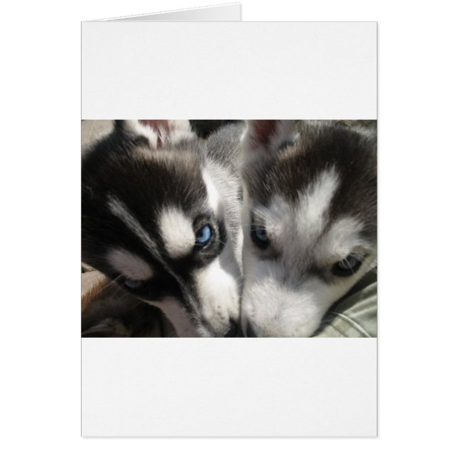 Siberian Husky Puppy mug (Front)