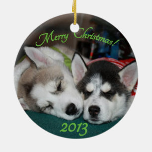 Siberian husky puppy Ornament