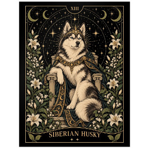 Siberian Husky, Starlit Tarot Art Postcard