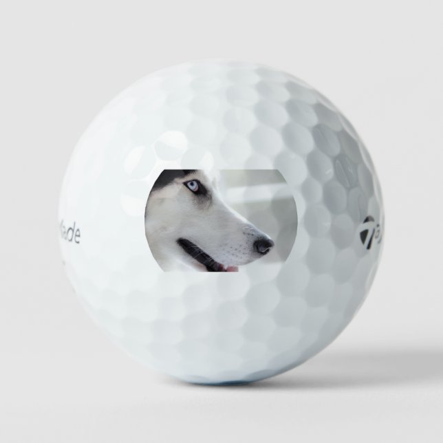 siberian husky up close second golf balls (Front)